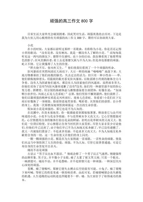 顽强的高三作文800字