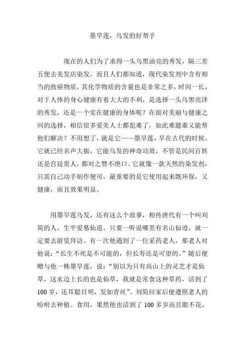 墨旱莲,乌发的好帮手