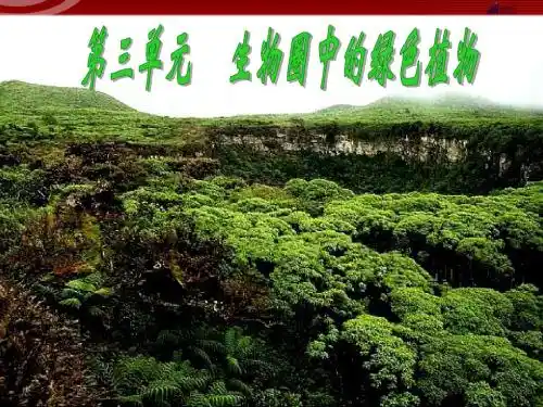 第五章 第一节 藻类苔藓和蕨类植物