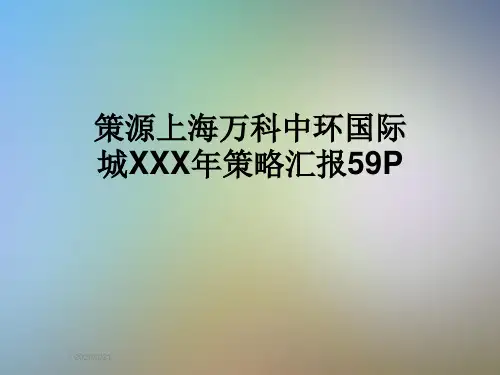 策源上海万科中环国际城XXX年策略汇报59P
