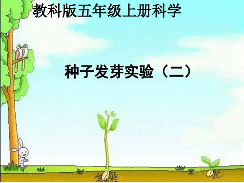 1.2 种子发芽实验(二)