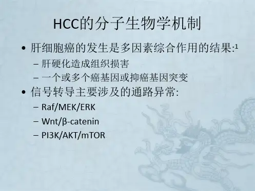 、索拉非尼治疗肝癌