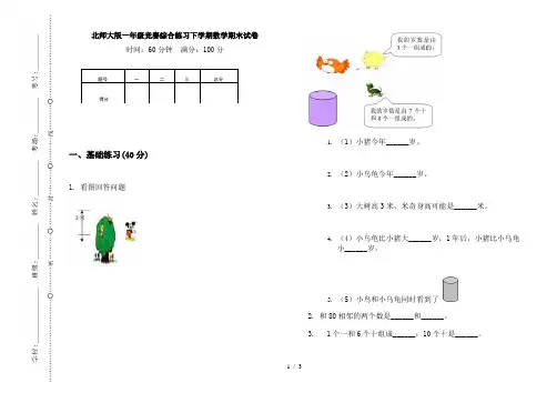 北师大版一年级竞赛综合练习下学期数学期末试卷