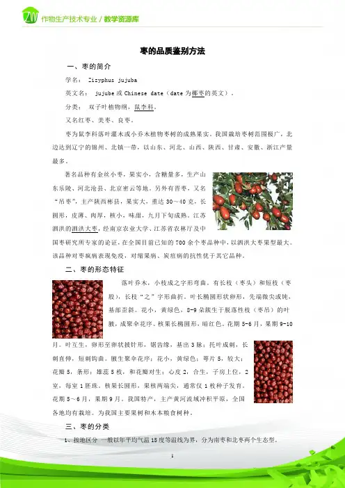 枣的品质鉴别.