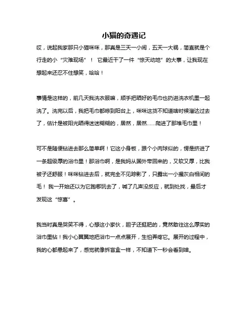 作文《小猫的奇遇记》 2