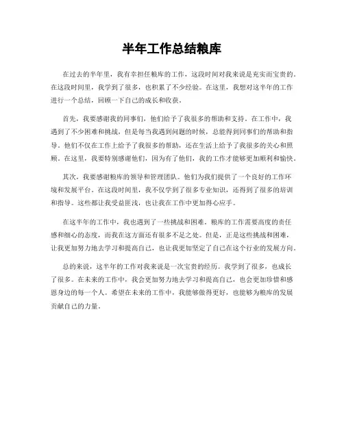 半年工作总结粮库