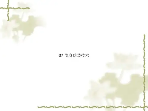 07 隐身伪装技术