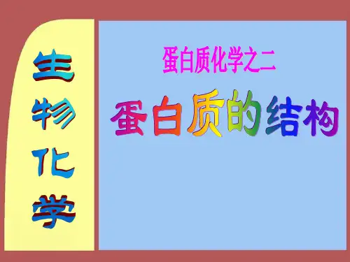 蛋白质的一级结构汇总