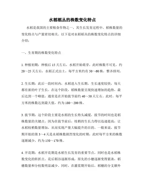 水稻稻丛的株数变化特点