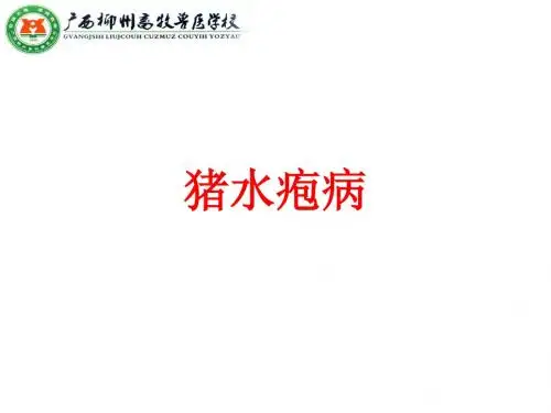 猪水疱病