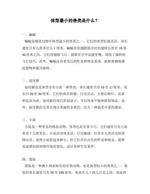 体型最小的兽类是什么？