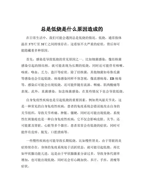 总是低烧是什么原因造成的