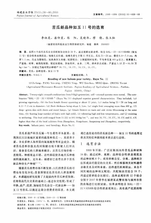苦瓜新品种如玉11号的选育