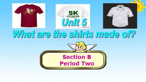 人教版九年级英语全一册Unit_5_What_are_the_shirts_made_of？_Section_B2ppt课件