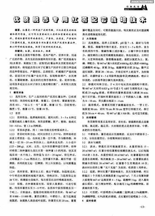 优质脱毒专用红薯配套栽培技术