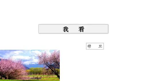 人教部编版九年级语文上册《我看》课件