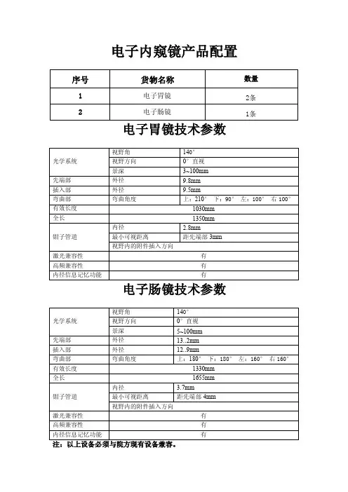 电子内窥镜产品配置