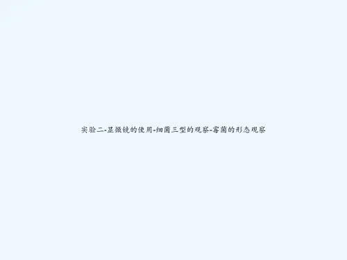 实验二-显微镜的使用-细菌三型的观察-霉菌的形态观察 PPT