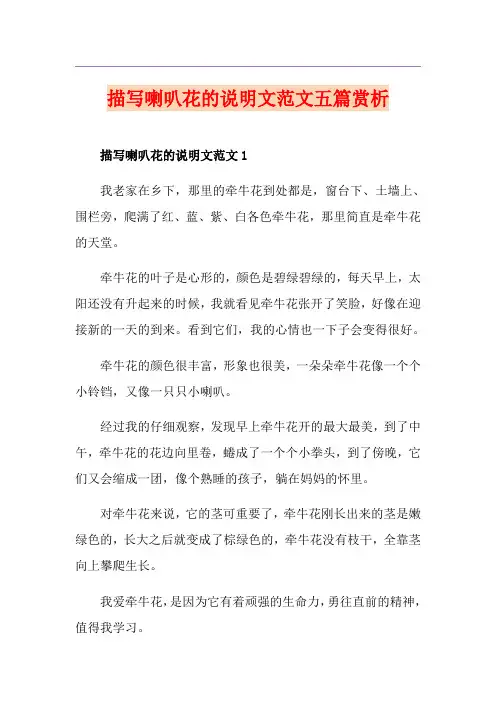 描写喇叭花的说明文范文五篇赏析