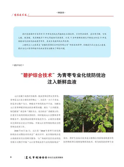 “碧护综合技术”为青枣专业化统防统治注入新鲜血液