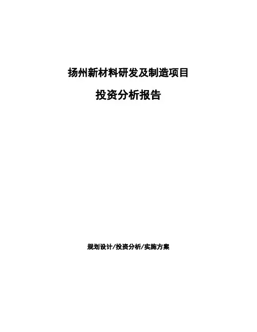 扬州新材料研发及制造项目投资分析报告