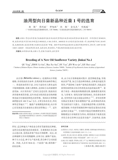 油用型向日葵新品种近葵1号的选育