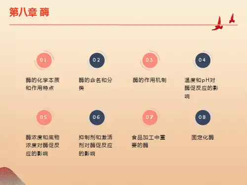 酶的化学本质和作用特点