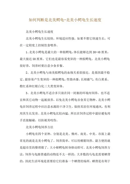 如何判断是北美鳄龟-北美小鳄龟生长速度