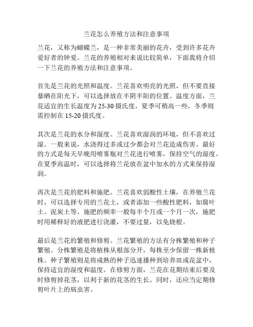 兰花怎么养殖方法和注意事项
