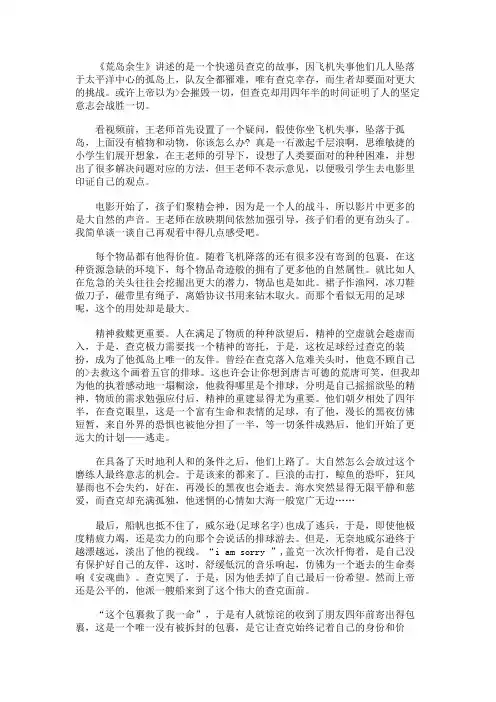 感动励志电影《荒岛余生》