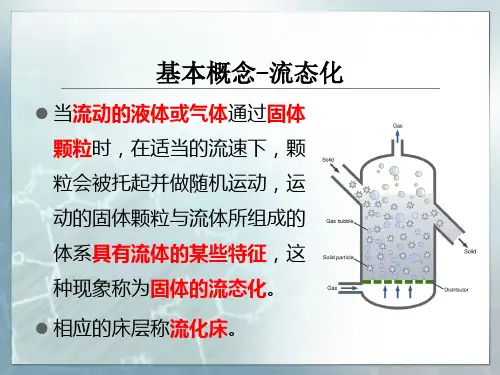 流化床反应器ppt课件
