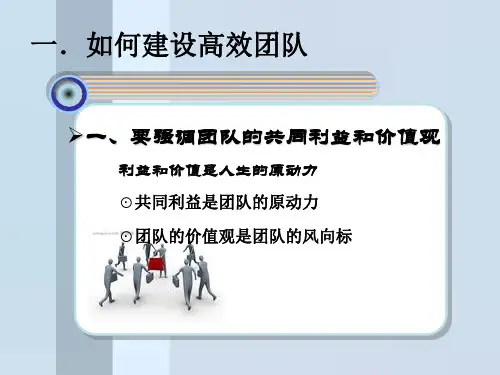 高效团队建设