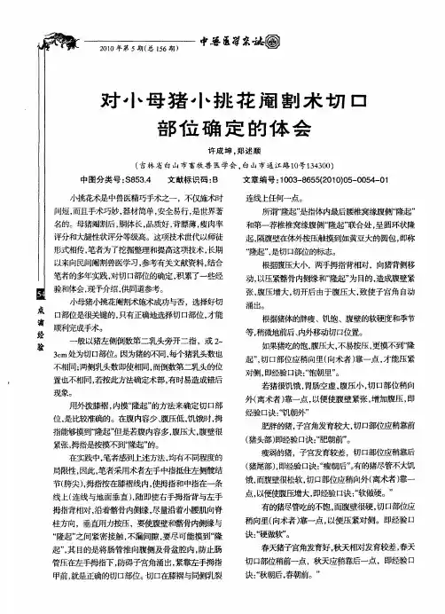 对小母猪小挑花阉割术切口部位确定的体会