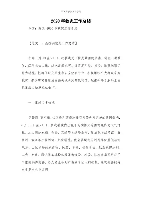 2020年救灾工作总结