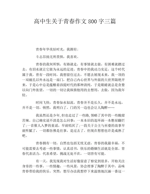高中生关于青春作文800字三篇