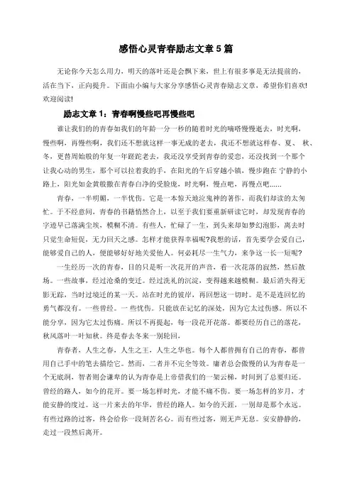 感悟心灵青春励志文章5篇