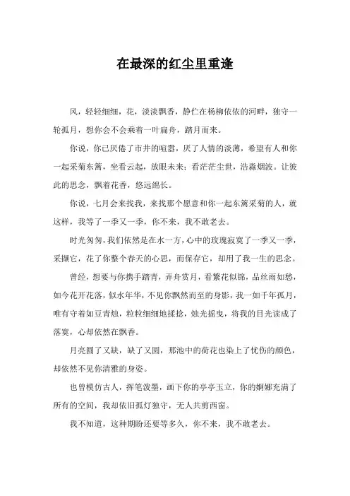 在最美的红尘里重逢