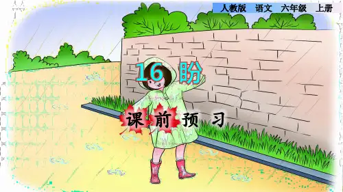 统编版小学六年级语文上册第16课《盼》精品课件