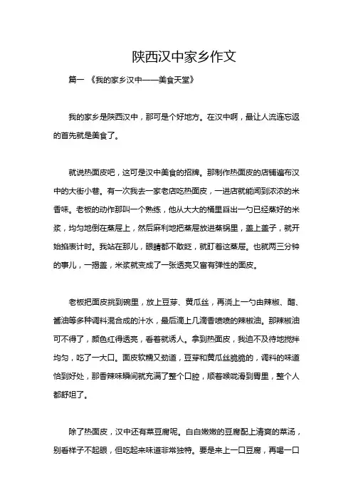 陕西汉中家乡作文