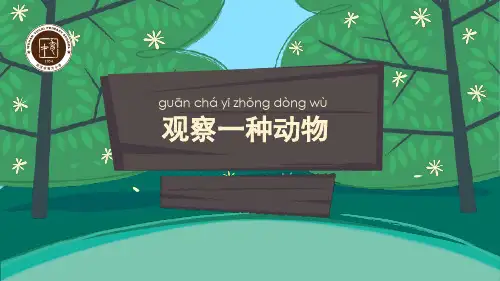 一年级下册科学《3.观察一种动物》(1) 教科版