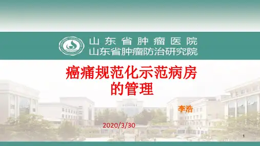 癌痛规范化示范病房的管理 PPT课件