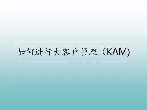 客户管理系列大客户管理 ppt课件