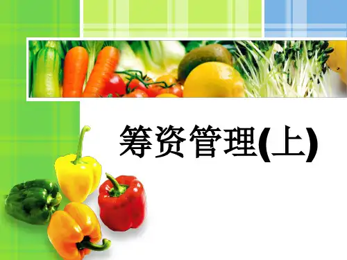 第三章：筹资管理(上)
