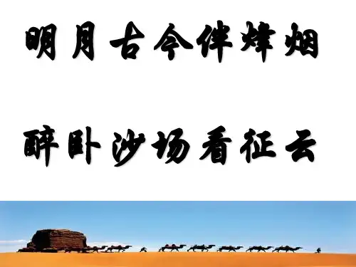 高三诗歌复习-边塞征战诗实用精品(附高考真题)
