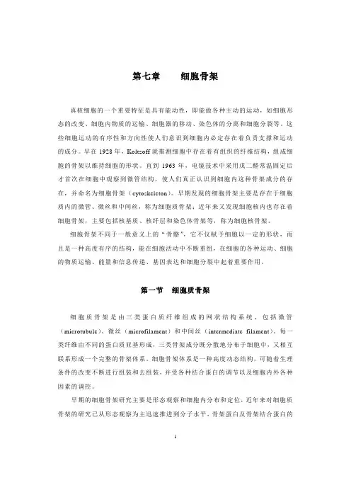 细胞骨架