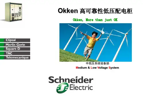 Okken 高可靠性低压配电柜