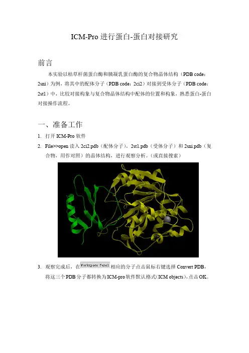 蛋白-蛋白对接教程(ICM-Docking)