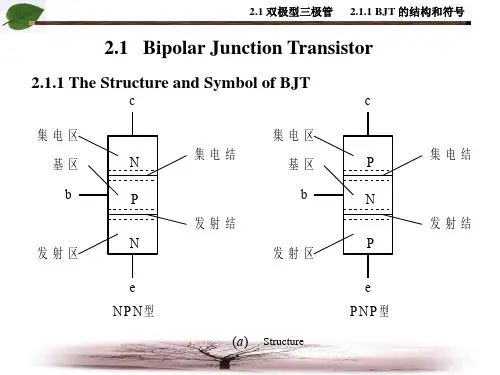 三极管及三极管放大电路英文ppt课件