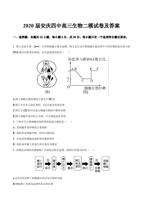 2020届安庆四中高三生物二模试卷及答案