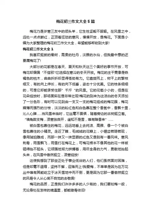 梅花初三作文大全5篇